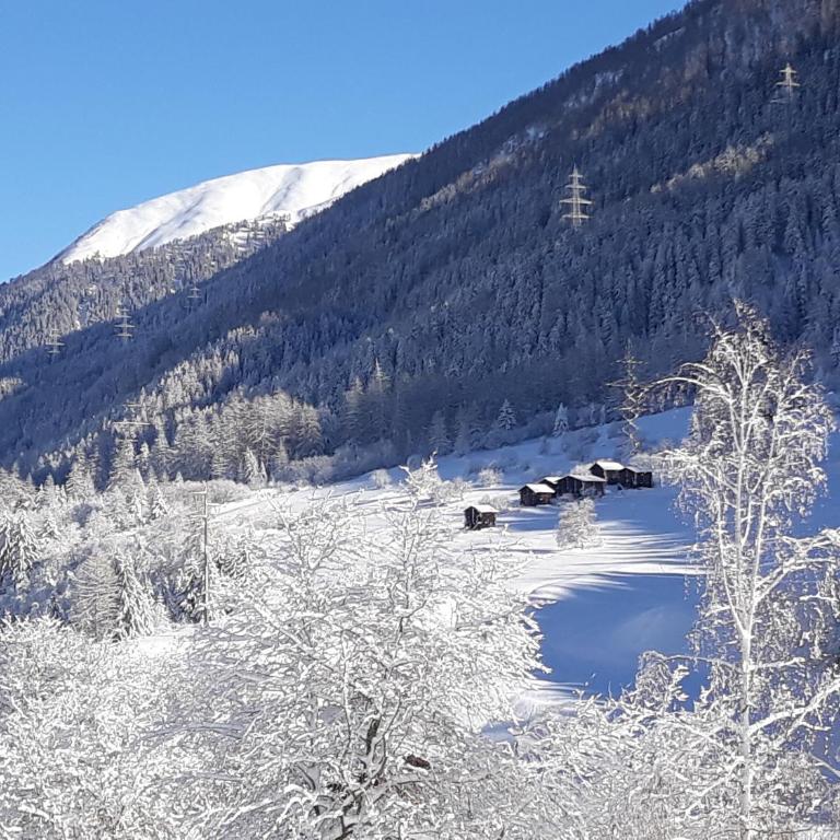 Haus Wiedersehn - Apartment - 1