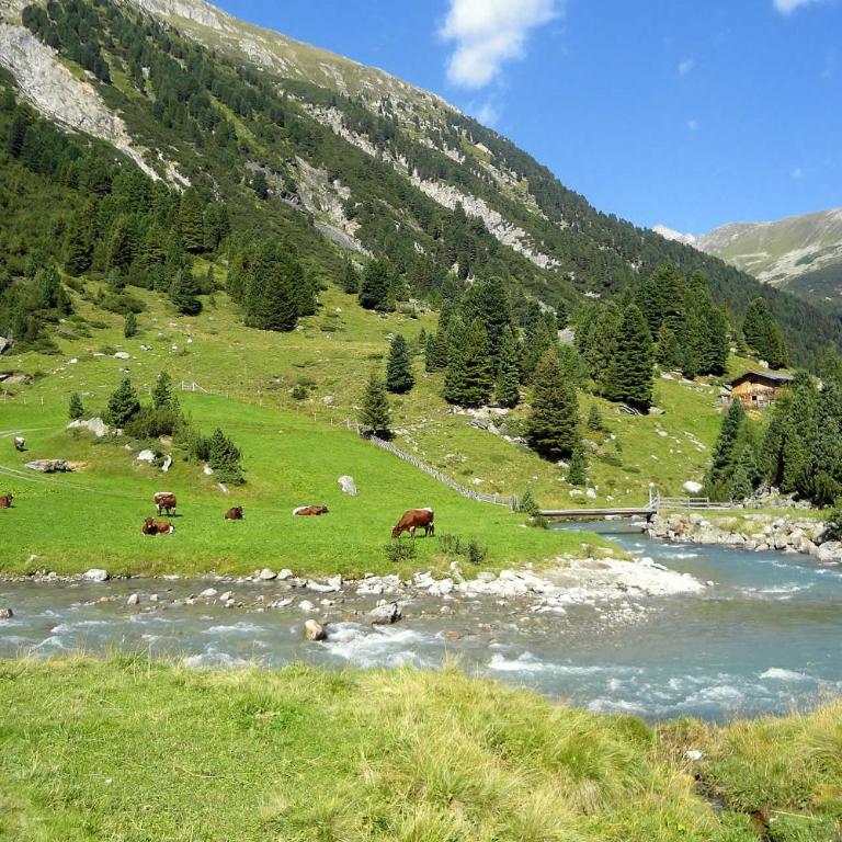 Ferienwohnungen LANG - Ski & Mountain Apartments - Appartamento con Sauna - 17