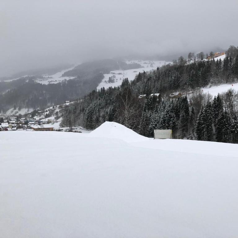 Haus Schladming - Apartment mit Blick auf die Berge - 10