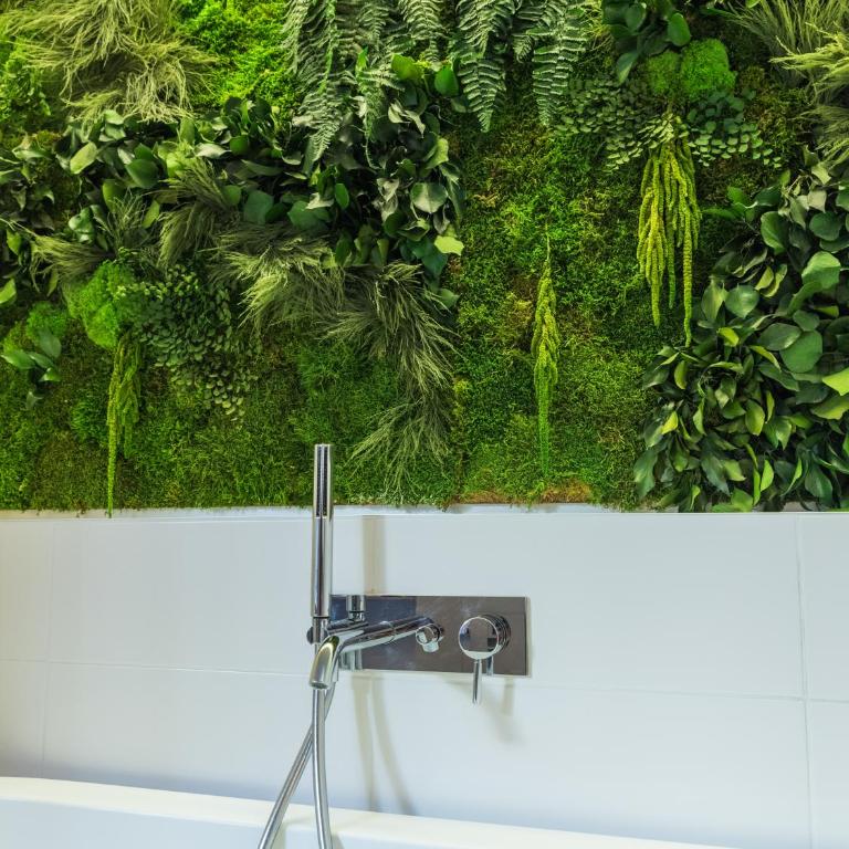 MiHotel Sala - Suite Exécutive « Jungle » - 6