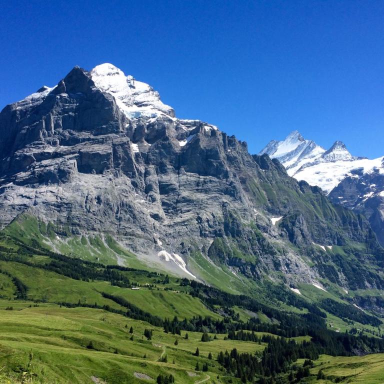 Wetterhorn, Eiger, Jungfrau, Amazing! - Apartment mit 2 Schlafzimmern - 9