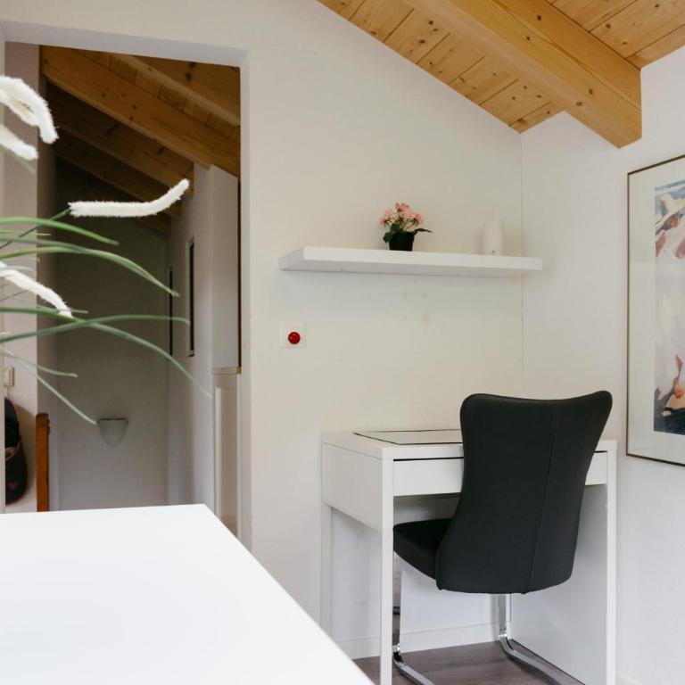 Wetterhorn, Eiger, Jungfrau, Amazing! - Apartment mit 2 Schlafzimmern - 13