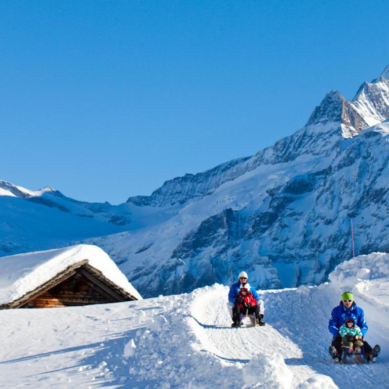 Wetterhorn, Eiger, Jungfrau, Amazing! - Apartment mit 2 Schlafzimmern - 24