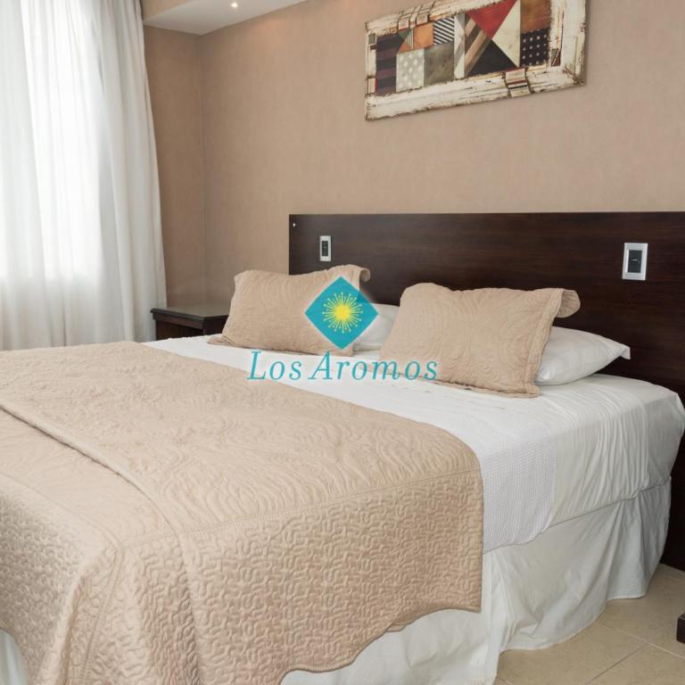 Los Aromos Apart Spa - Deluxe Apartment - 6