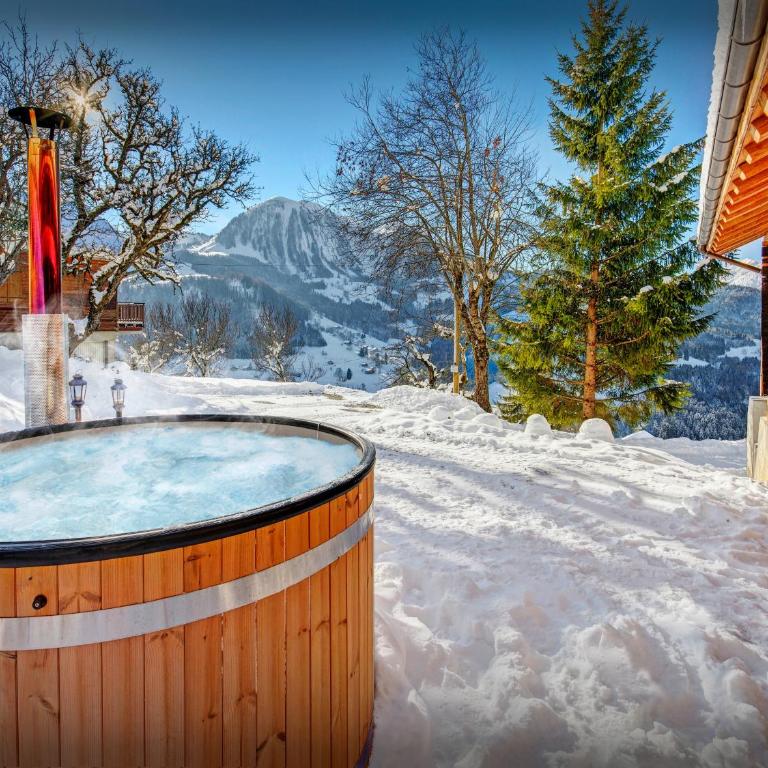 Chalet Le Meridien Etale - OVO Network - Chalet 4 Chambres - 6