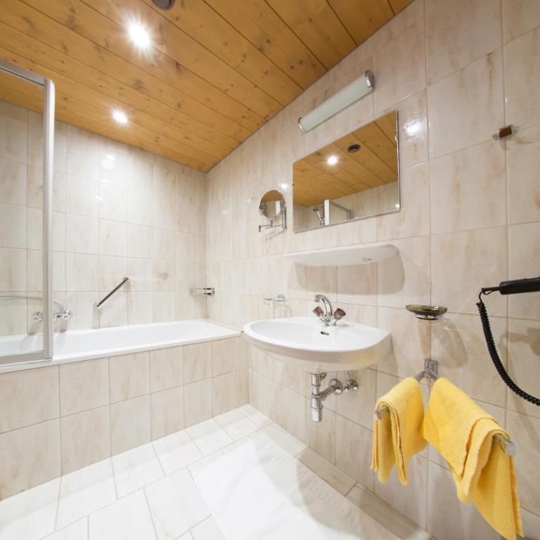 Aparthotel Alpin Life - Appartamento Monolocale - 1