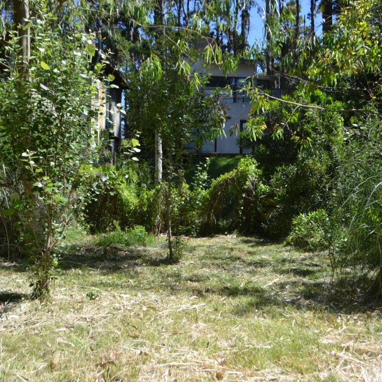 Las Cortaderas - One-Bedroom House - 34