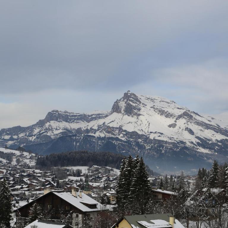 Residence Lesporting Ski – Megeve – АW201 - Appartement - 15