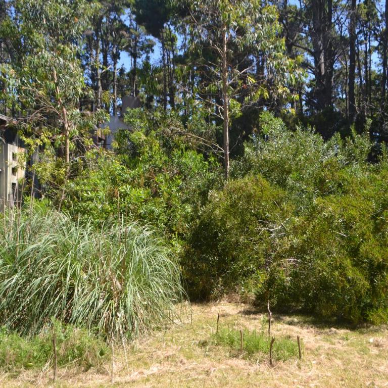Las Cortaderas - One-Bedroom House - 26