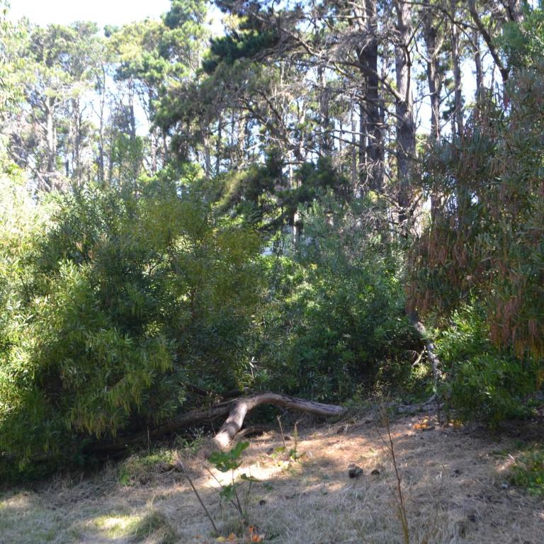 Las Cortaderas - One-Bedroom House - 32