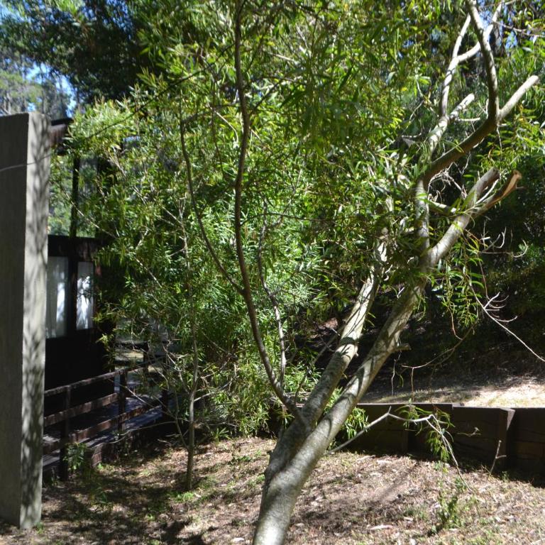 Las Cortaderas - One-Bedroom House - 33