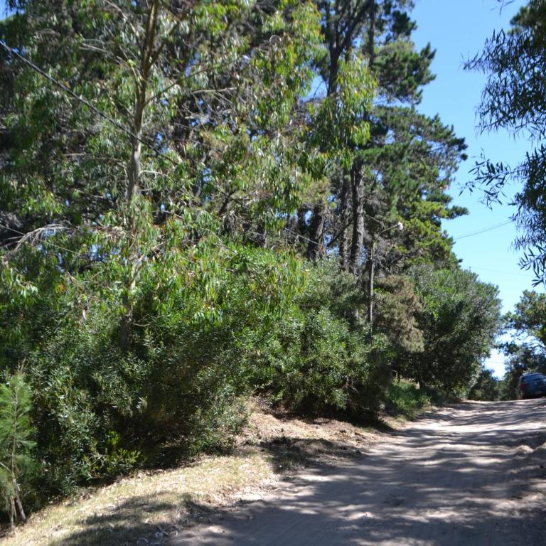 Las Cortaderas - One-Bedroom House - 37