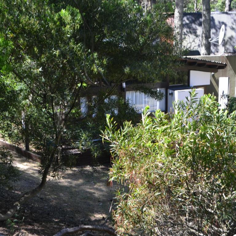 Las Cortaderas - One-Bedroom House - 12