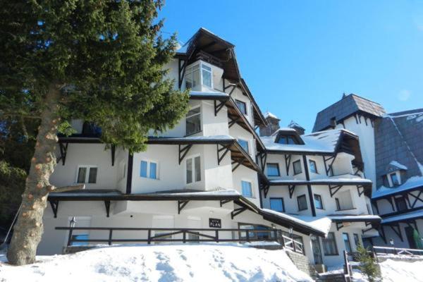 Apartman Nina Kopaonik centar - Apartment - 21