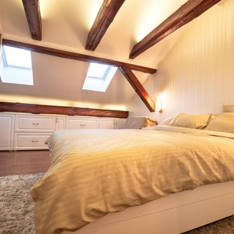 Royal Residence Singer - Novi Sad center - Apartman sa 2 Spavaće Sobe - 19