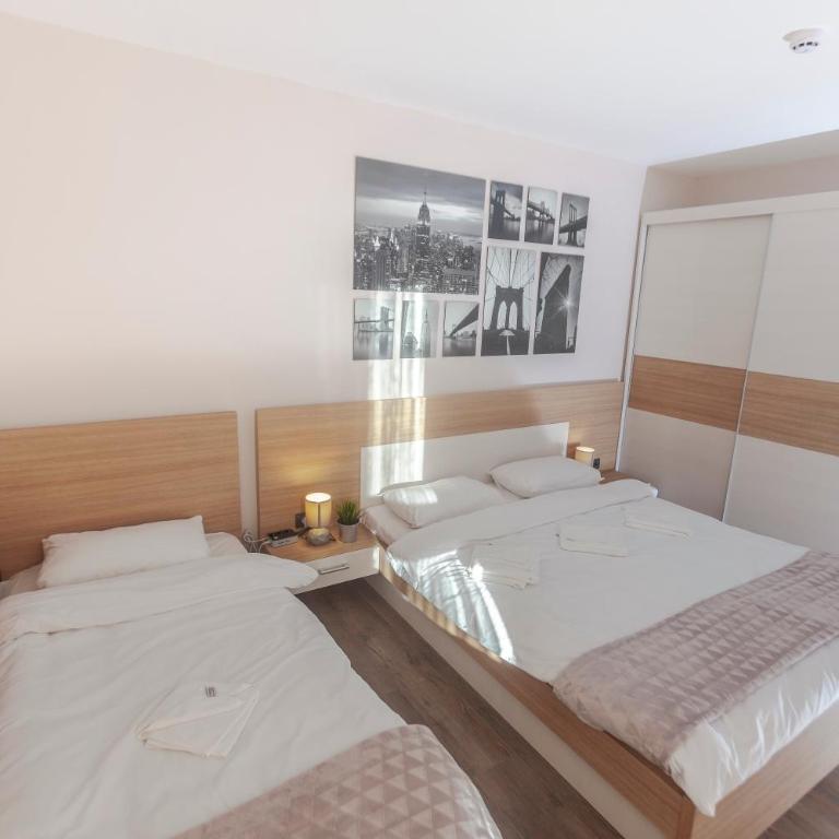 Snow Oasis Kopaonik - Apartment with Mountain View - 13