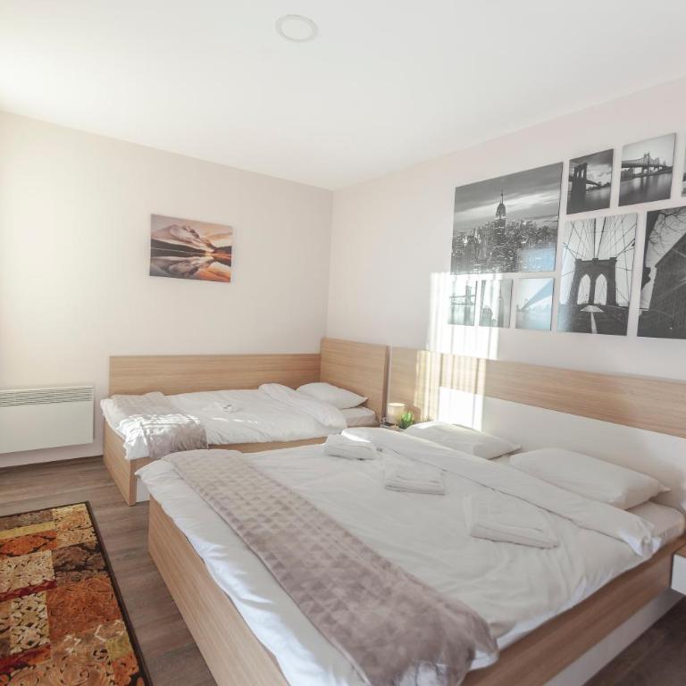 Snow Oasis Kopaonik - Apartment with Mountain View - 14