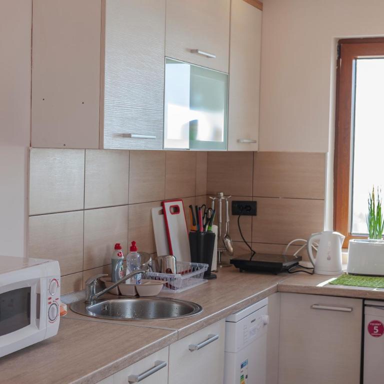 Snow Oasis Kopaonik - Apartment with Mountain View - 22