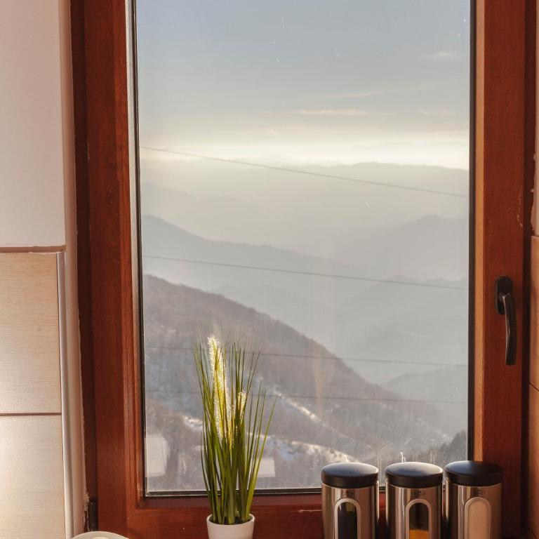 Snow Oasis Kopaonik - Apartment with Mountain View - 25