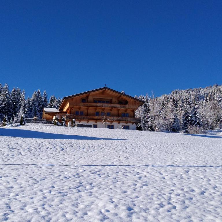 Chalet Apartment Obermanzl - by Alpine Homes - Apartment - 18