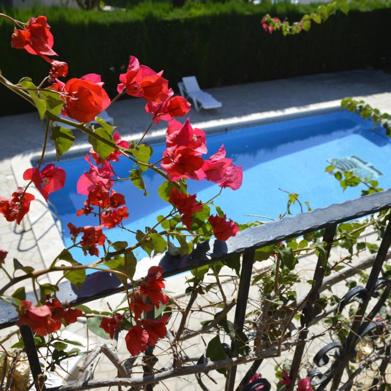 Villa Bella Cala - Casa - 3
