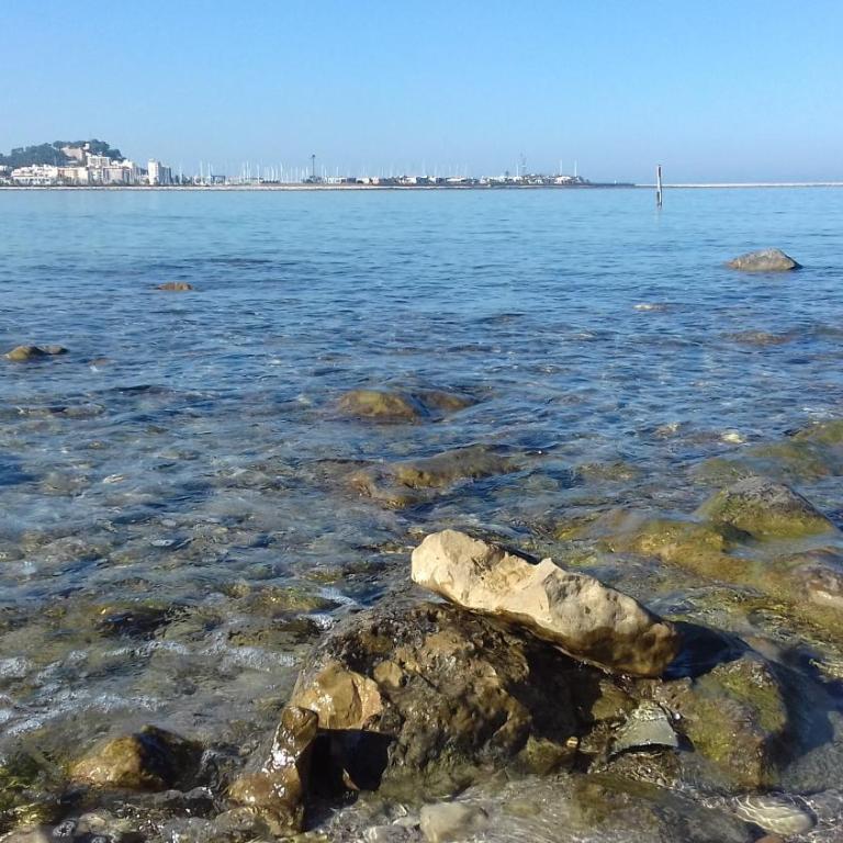 Mare Nostrum II Denia. - Apartamento - 42