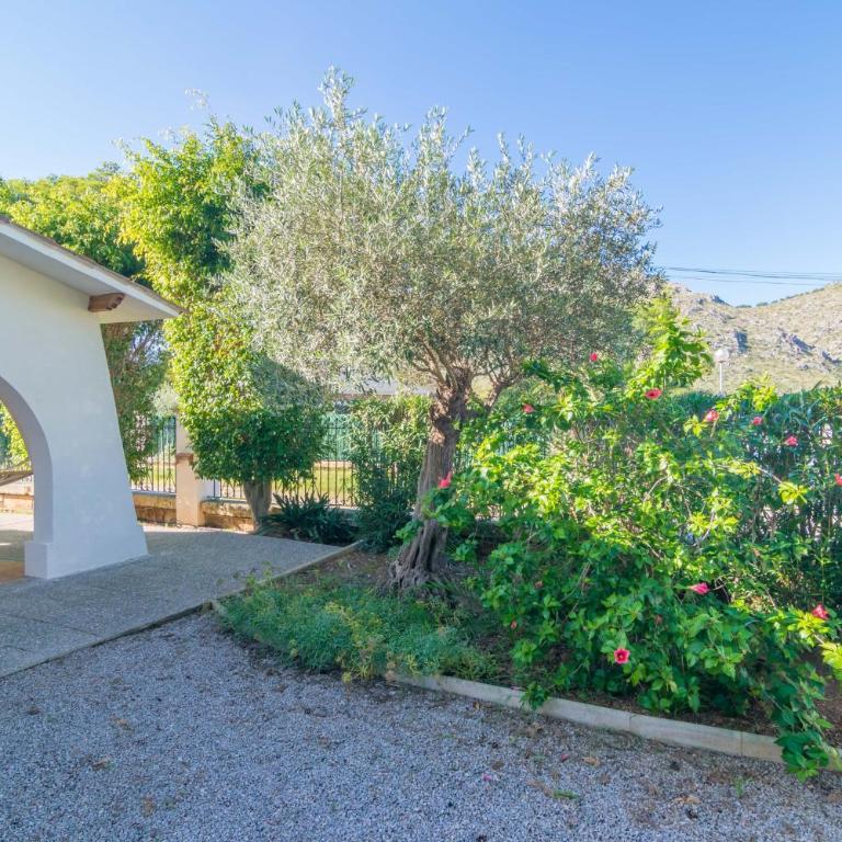 Es Baladre - Chalet de 3 dormitorios - 25