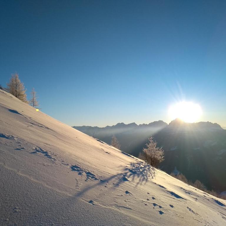 Natur Apartments Riesen - Appartamento con 1 Camera da Letto - 27