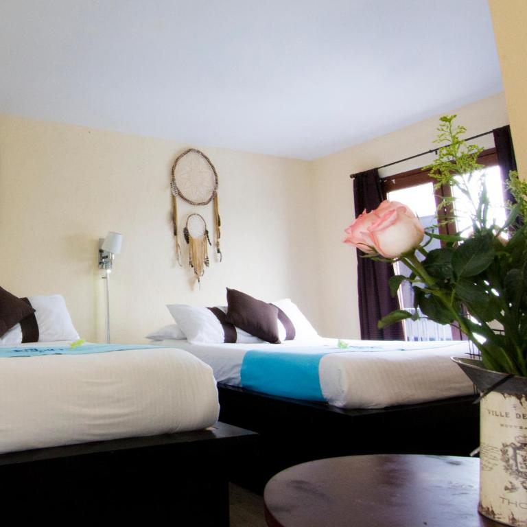 Hotel & Spa La Mansion del Bu rro Azul Querétaro - Double or Twin Room - 3