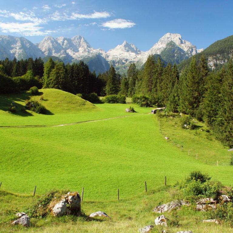 Appartement Weissbacher - Big Two-Bedroom Apartment with Balcony and Mountain View - 43