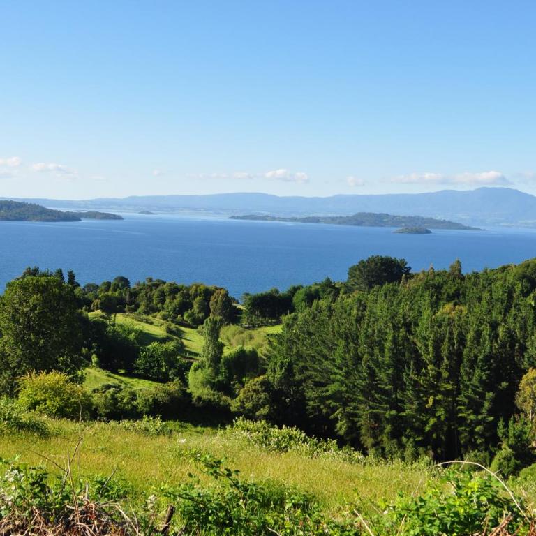 Cabañas Mirador Lago Ranco - Chalet de 2 dormitorios - 9