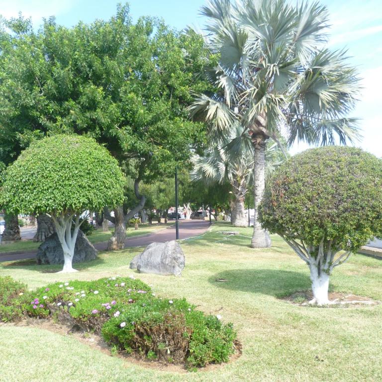Elana Apartment with FREE WIFI - Apartamento Estudio - 10