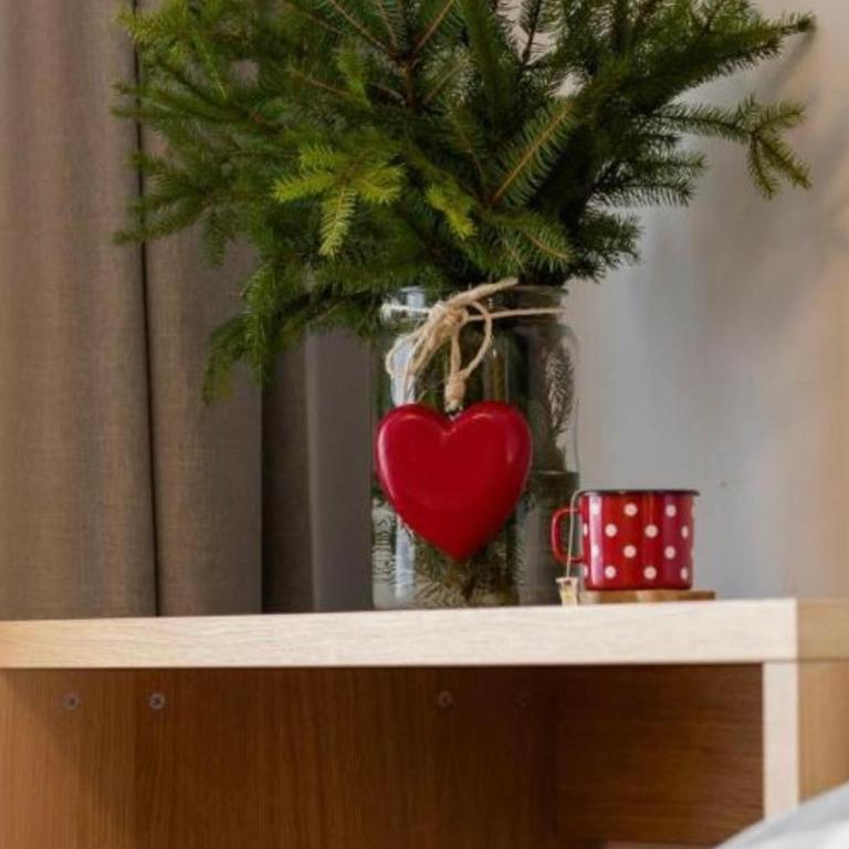 Apartmani Air - Apartman - 18