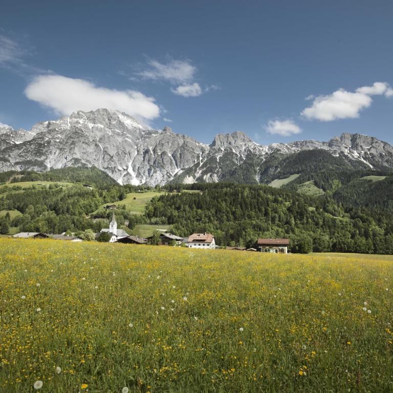 Appartement Haus Pichler - One-Bedroom Apartment - 56