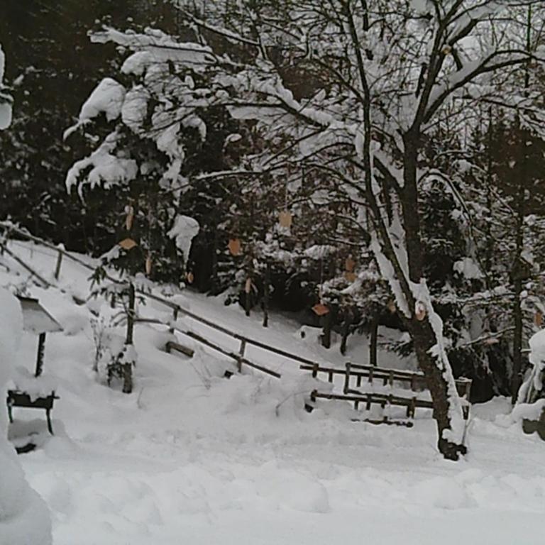Altes Forsthaus am Bach - Haus mit 3 Schlafzimmern - 37