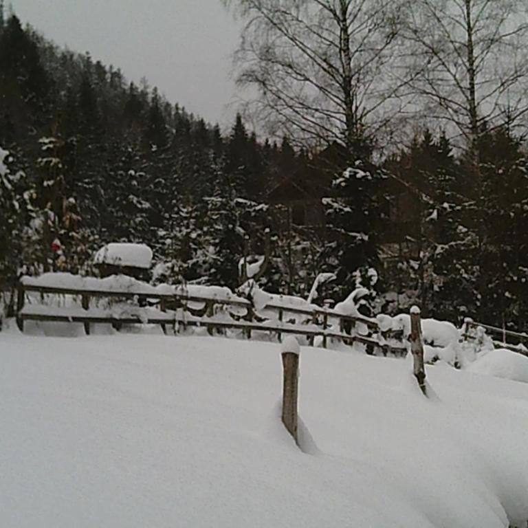 Altes Forsthaus am Bach - Haus mit 3 Schlafzimmern - 34