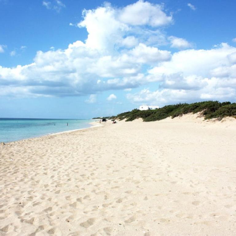 Casa Marina By Cala Salento - Appartamento - 19