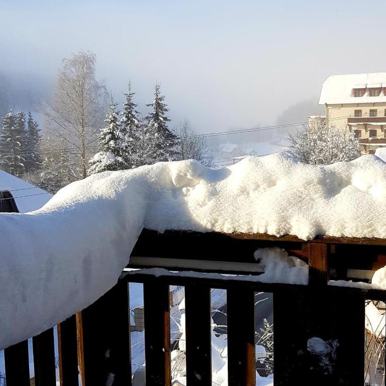 Haus Elena am Semmering - Apartment mit Terrasse - 11