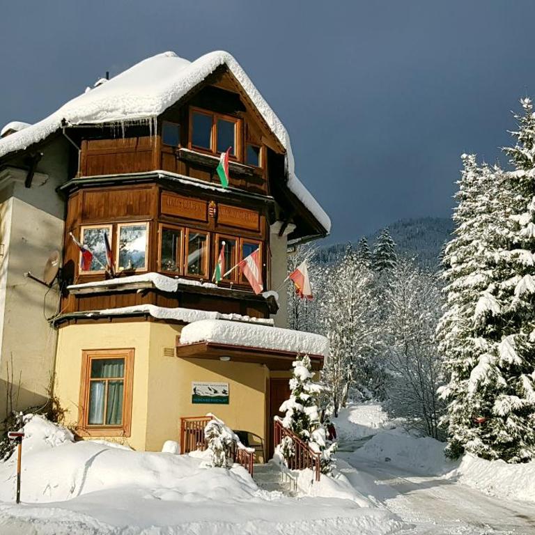 Haus Elena am Semmering - Standard Apartment - 18