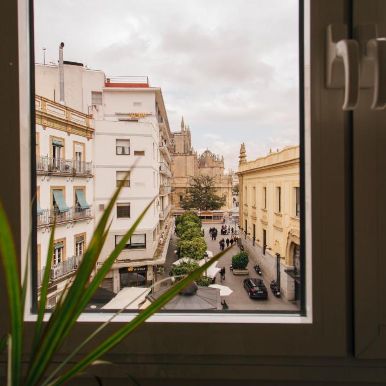 Preciosas Vistas a Catedral - Apartamento - 5