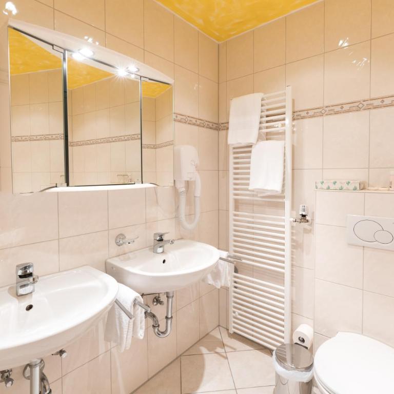 Hotel garni Almenrausch und Edelweiss - Comfort Einzelzimmer - 11