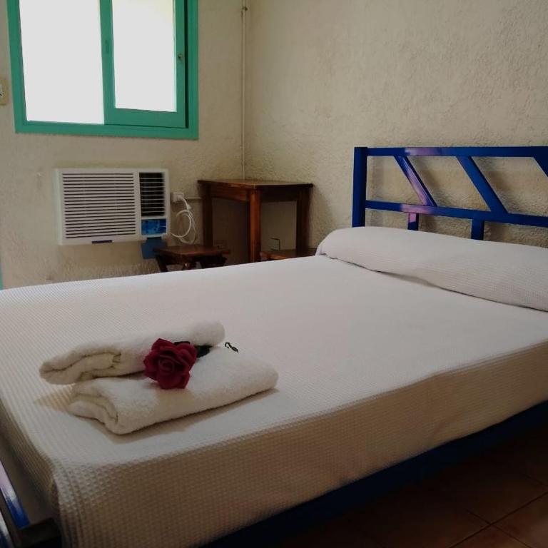 Black Sheep International Hostel - Habitación Doble con baño privado - 2