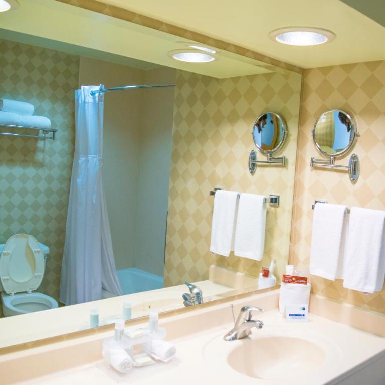 Holiday Inn Express Guanajuato by IHG - Standard Room - 1