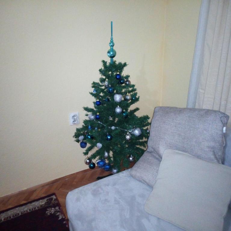 Villa Vlasta - Apartman - Prizemlje - 4