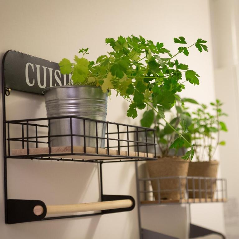 GuestART Monti Apartment - Appartamento - 20