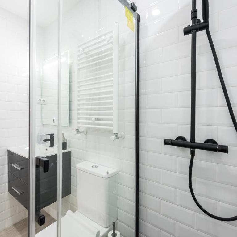 Ever House - ALCALA AIRE Gran TERRAZA ROOFTOP - Apartment - 52