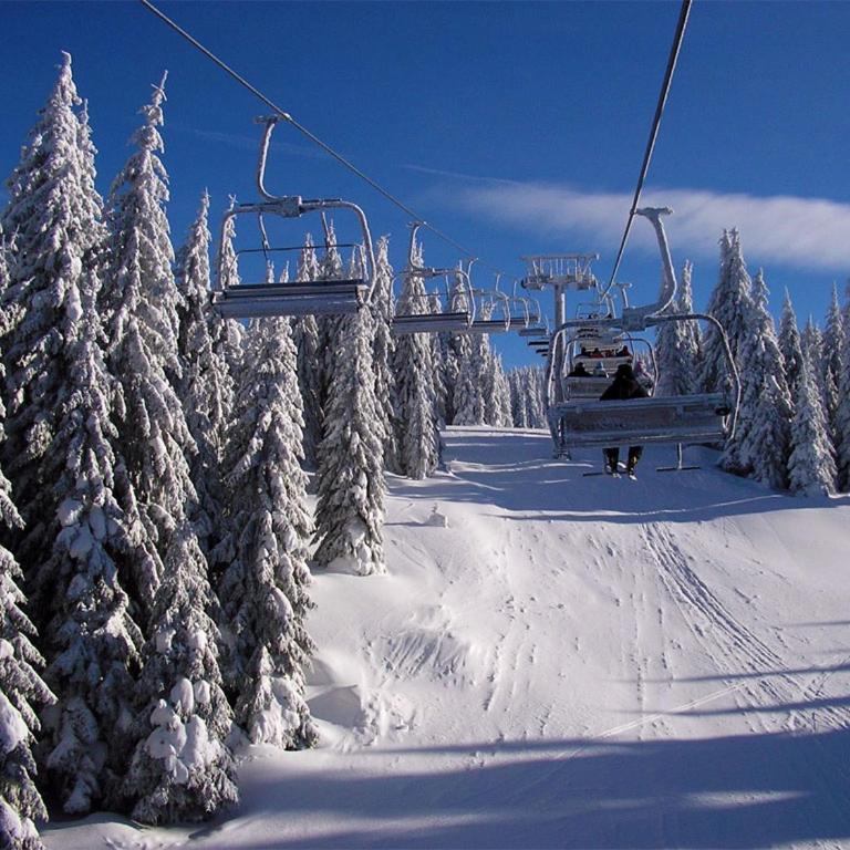 Milmari Resort & Spa / Premier 3 - Studio s King-sajz Krevetom i Sofom na Izvlačenje - 52