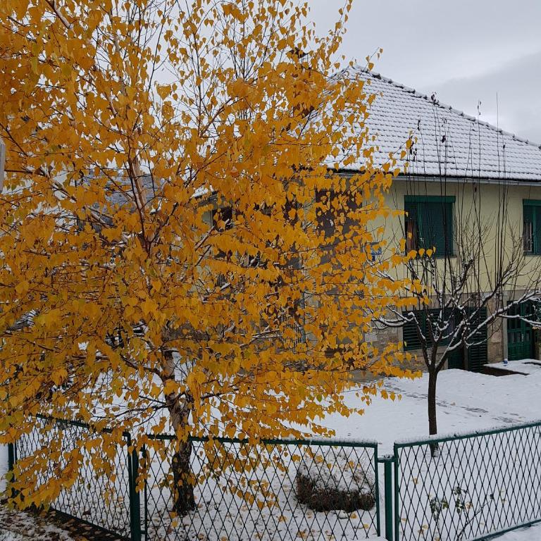 Apartment Center - Apartman sa 1 Spavaćom Sobom - 39