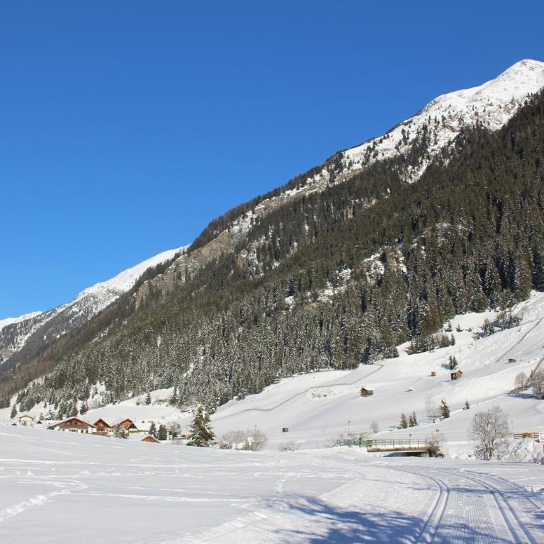 Apart Alpenjuwel - Apartment - 11