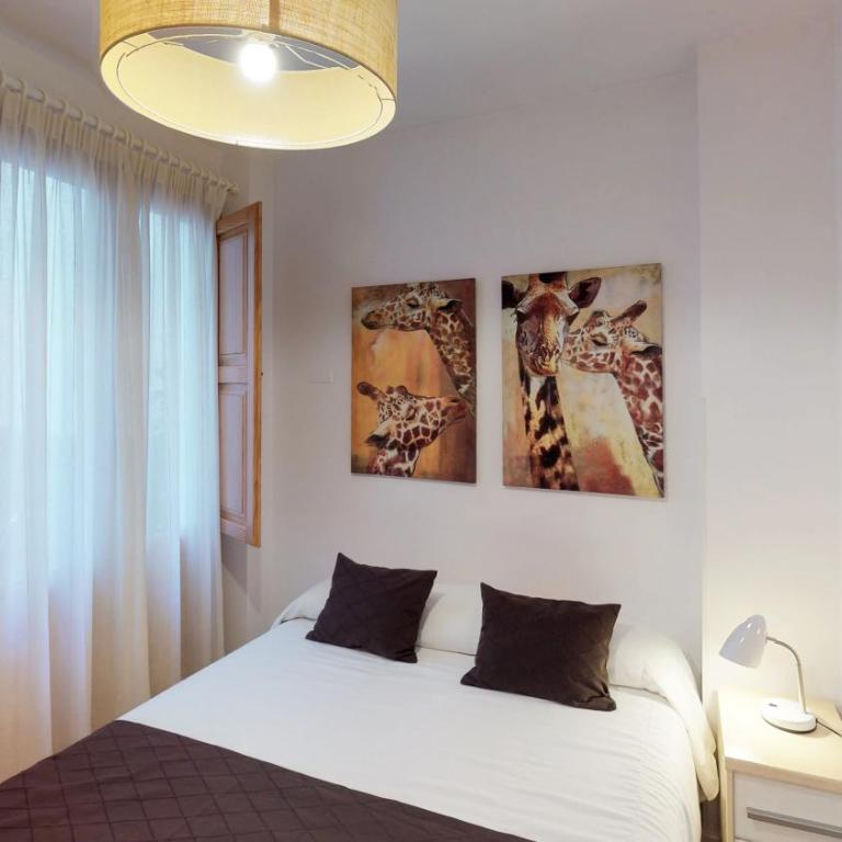 Edificio Palomar - PalomarGroup - Two-Bedroom Apartment with Terrace - 5